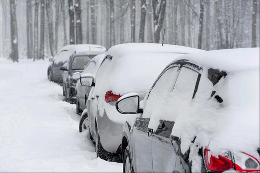 How a Good Car Cover Will Provide Protection from All the Seasons (including Rain, Sun, Wind, Storms, and Autumn leaves)